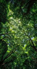 Verdant canopy stretching towards sunlit sky above