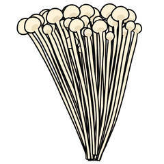 Enoki mushroom fungi simple illustration
エノキタケ　菌類　シンプル　イラスト