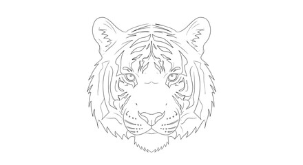 Vector art of tiger face line art illustration, showcasing the animals features