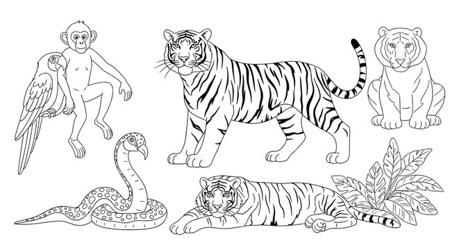 Vector art of monkey, parrot, tiger, and snake in a jungle