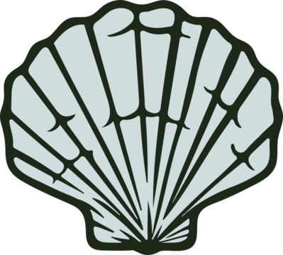 Pale Blue Scallop Shell Graphic With Dark Outline On Transparent Background