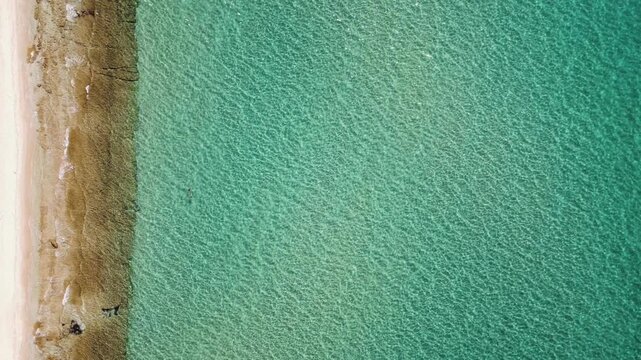 Aerial Top Down View of Crystal Clear Turquoise Waters and Sandy Beach at Sani, Halkidiki, Greece