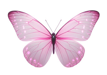 Obraz premium Delicate pink butterfly with intricate wing patterns on a clean white background