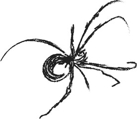 Abstract charcoal drawing of a spider with long spindly legs and a rounded body on a white background