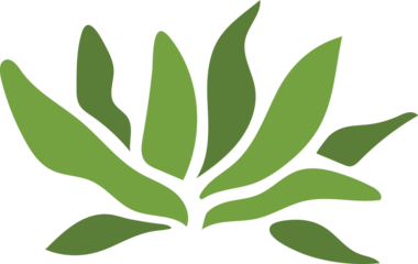 Stylized Green Leafy Plant Graphic Design With Transparent Background Represents Nature And Growth