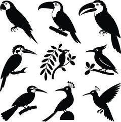 Fototapeta premium Diverse bird silhouettes on branches toucan parrot