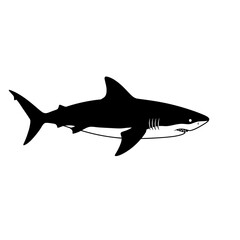 Silhouette of a great white shark a majestic predator of the ocean sea