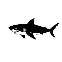 Silhouette of a great white shark swimming gracefully in the ocean with sharp teeth and fins visible