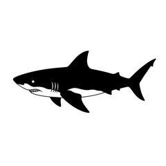 Silhouette of a great white shark swimming gracefully through the ocean depths predatory marine animal
