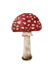 Obraz premium Vibrant Red Mushroom with Distinct White Spots A Beautiful Piece of Natures Artwork