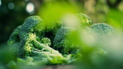 Fresh broccoli florets close up green vegetable healthy eating concept - Powered by Adobe