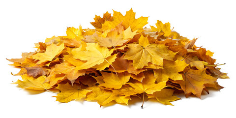 Obraz premium Pile of Yellow Autumn Leaves PNG