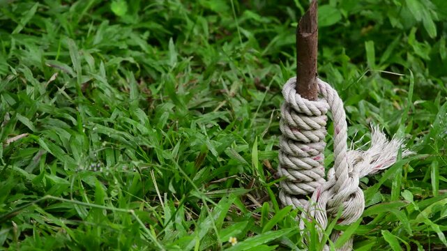 rope on a green grass