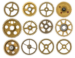 A collection of twelve golden, detailed gears, each displaying unique design, arranged on white
