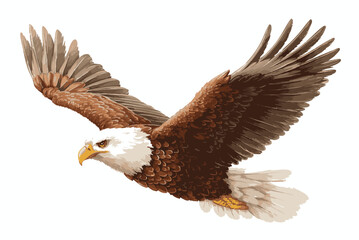 eagle on white background.eps