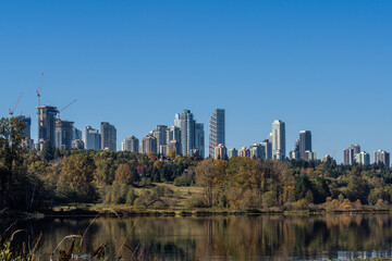 Fototapeta premium Feathered moments at Burnaby Lake Park,. Burnaby, BC, Canada