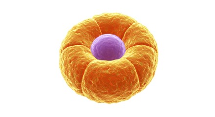 x-default 3D rendering of a cell