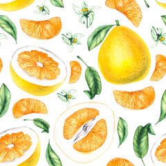 Pomelo citrus fruit seamless pattern on a white background, hand-drawn. Botanical fruit pattern for DIY projects, cards, invitations, posters, scrapbooking, branding, and packaging.
