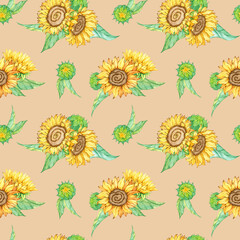 Seamless pattern background. Endless backdrop template. Sunflower flower head, leaves, blooming plant. Hand drawn watercolor illustration. Summer and autumn botanical art. Wrapping, textile, fabric