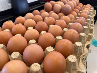 You can see fresh chicken eggs neatly arranged on egg trays in traditional and modern markets, the price fluctuations are very uncertain