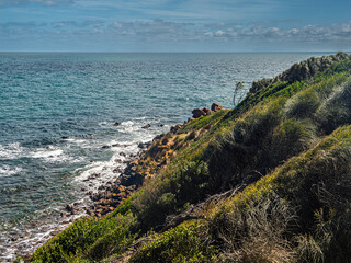Wind Ruffles Sunlit Cliffside Bushes