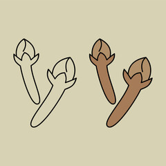 clove. spice. aromatic. perfume ingredient. perfume note. agriculture. herbal. vector illustration