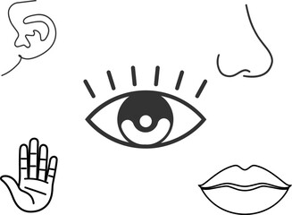 Five Senses Icons Set: Sight, Hearing, Smell, Taste, and Touch Line Art

