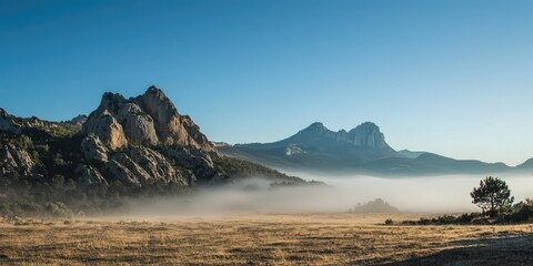 A misty landscape with rocky mountains and a clear sky, featuring a lone tree in the foreground and a vast, open field in the background.