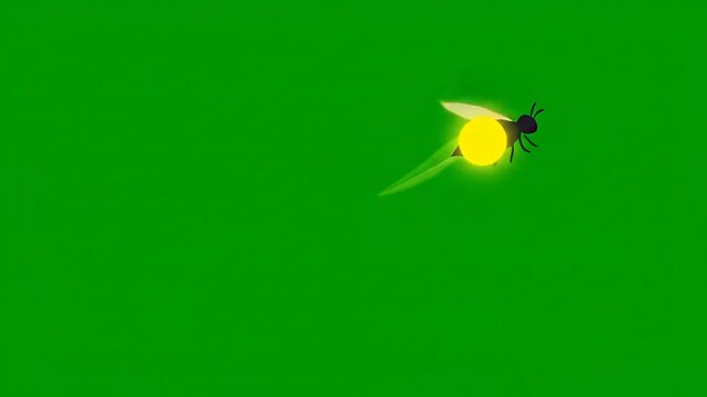 Animated firefly glowing light on green screen suitable for magical content , chroma keyer , special effect , VFX , motion graphics , cartoon style