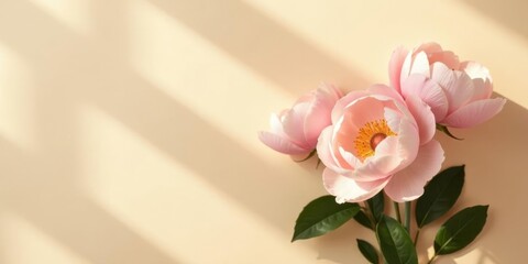 Fototapeta premium Delicate Pink Blooms Basking in Sunlight's Embrace on a Soft, Warm Background