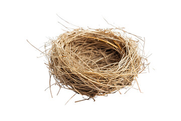 A meticulously crafted bird nest isolated on transparent background, showcasing its intricate construction, natural materials, and potential for new life and avian habitat