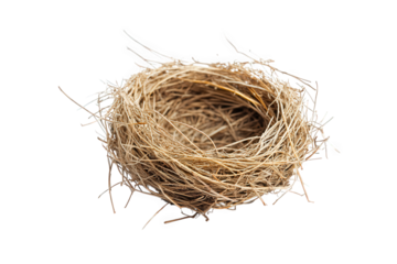 A meticulously crafted bird nest isolated on transparent background, showcasing its intricate construction, natural materials, and potential for new life and avian habitat