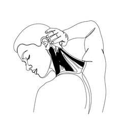 Vector art of line drawing of a person stretching their neck, highlighting the muscles in the neck and shoulder area