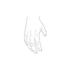 Vector art of a detailed line drawing of a human hand reaching downwards, with fingers slightly curled, , perfect for medical, artistic, or symbolic representations