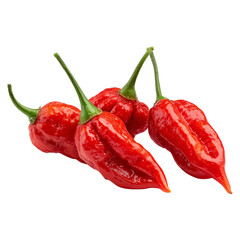 Vibrant red ghost peppers intense heat fresh and fiery capsicum chinense for culinary adventures
