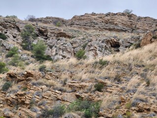 The Scenic Rocky Terrain includes a stunning landscape of grass, shrubs, and geological features