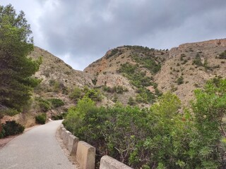 A scenic pathway winds through a breathtaking landscape, inviting nature lovers to explore