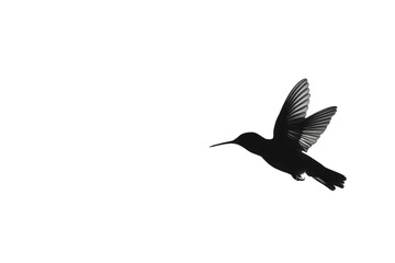 A silhouette of a hummingbird isolated on transparent background, captured midflight, showcasing its delicate wings and long beak, a symbol of agility and grace