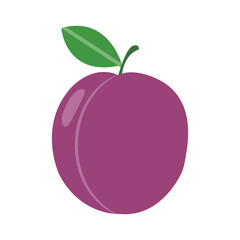 Stylized single plum displays a green leaf against a pristine white background