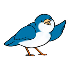 Hello Blue Bird 