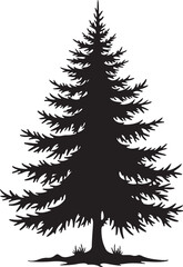 Fototapeta premium Black silhouette of a pine tree with branches evergreen