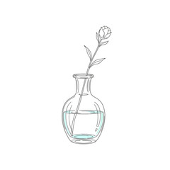Vector art of a delicate line drawing of a single rosebud in a glass vase with water, isolated on a, representing simplicity and natural beauty in minimalist art and decor