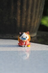 cat sitting relaxed while looking at nature