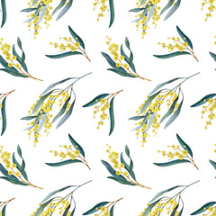 Golden wattle acacia flowers on white background seamless pattern. Australia native floral element watercolor painted illustration. Acacia pycnantha yellow flowers seamless pattern decorative element