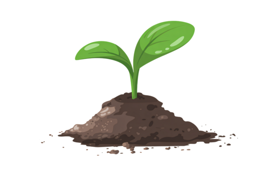 Tiny plant growing in soil, symbolizing growth and new beginnings
