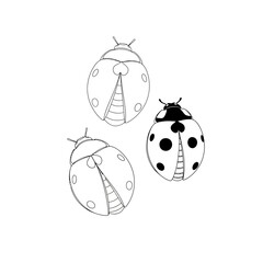 Vector art of three ladybugs, one with black spots and two without, depicted in a simple line art style with black outlines, isolated on a, showcasing a collection of insects in a minimalist design