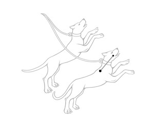 りょうけん座のモノクロ線画イラスト