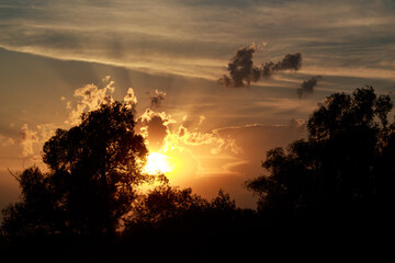 Glorious golden hour with a brilliant sun peeking through silhouetted trees and patchy clouds. Breathtaking twilight hues. Warm, serene vista