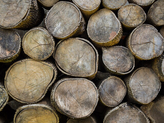 Tree rings old weathered wood texture of a cut log.