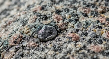 Closeup of a dark crystal embedded in a colorful rock, showcasing the crystals facets and the rocks varied mineral composition under bright lighting